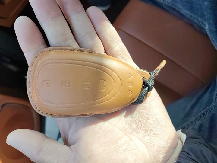 Фото 9 - Wey Lanshan