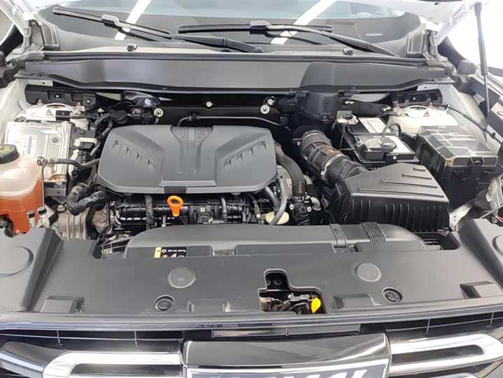 Фото 10 - Haval Dargo