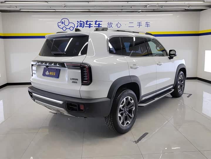 Фото 3 - Haval Dargo