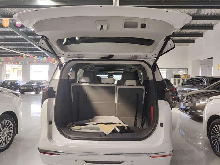 Фото 19 - Buick GL8 ES