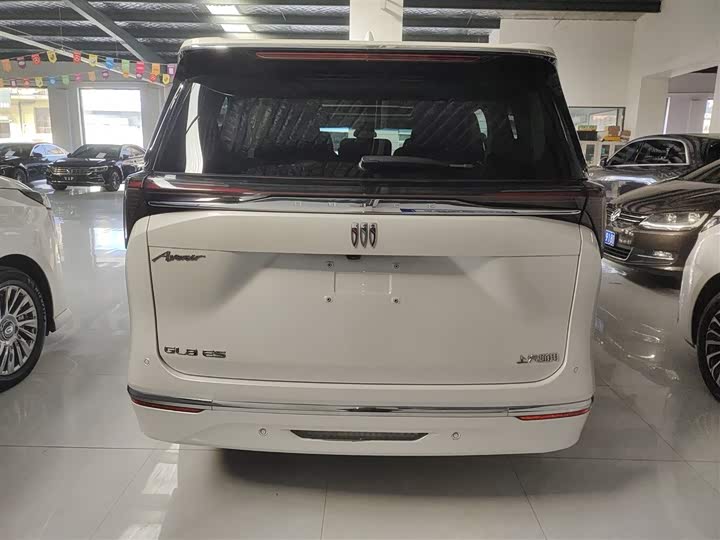 Фото 6 - Buick GL8 ES