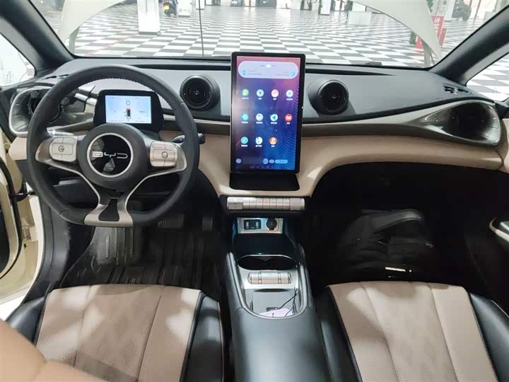 Фото 10 - BYD Dolphin