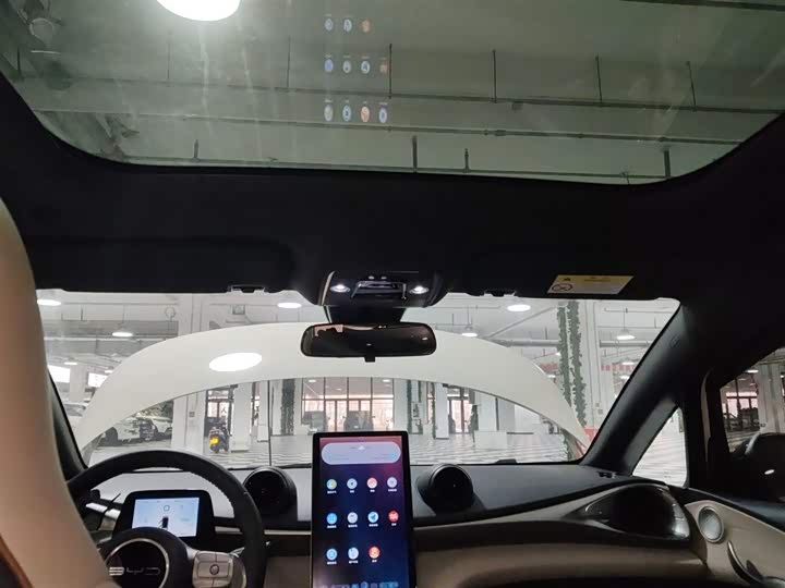 Фото 18 - BYD Dolphin