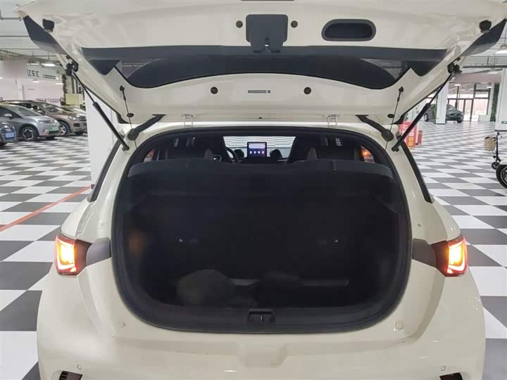 Фото 19 - BYD Dolphin