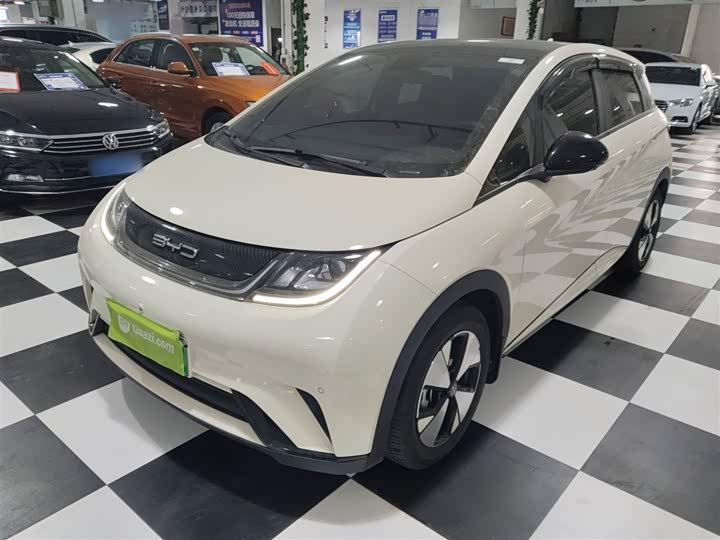 Фото 2 - BYD Dolphin