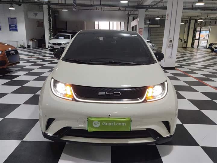 Фото 3 - BYD Dolphin