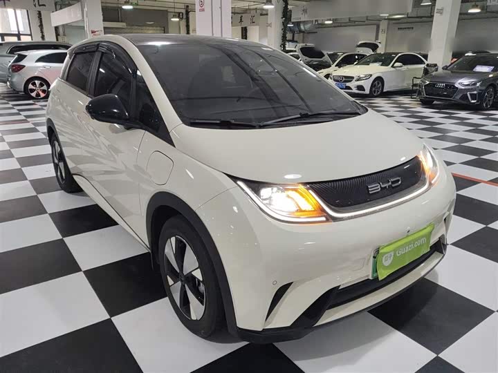 Фото 4 - BYD Dolphin