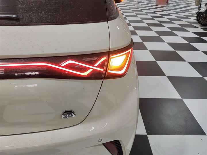 Фото 8 - BYD Dolphin