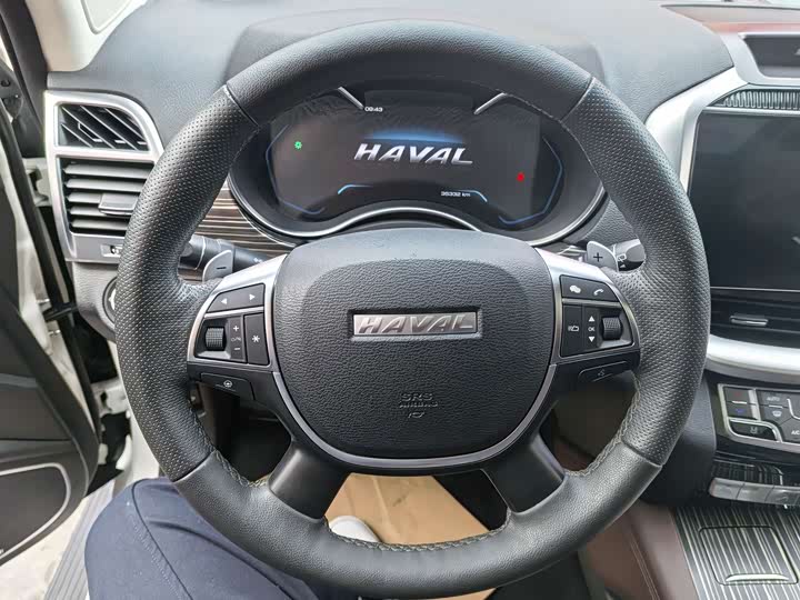 Фото 8 - Haval H9