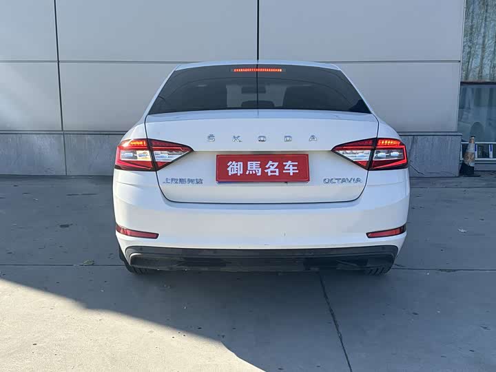 Фото 5 - Skoda Octavia Pro