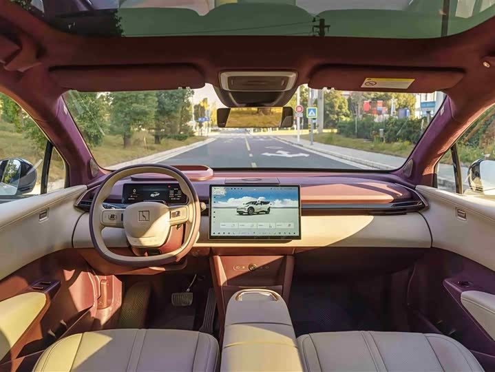 Фото 12 - Zeekr X