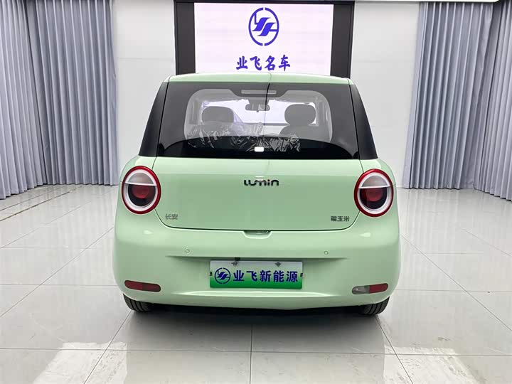 Фото 5 - Changan Qiyuan (Nevo) Lumin