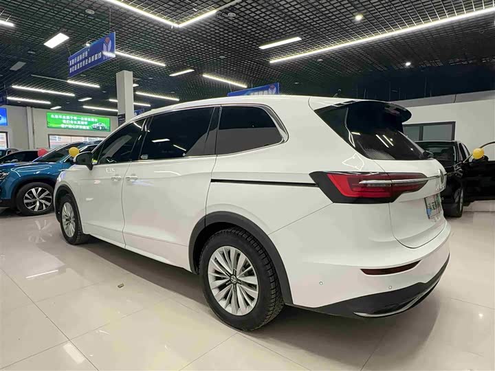 Фото 4 - Volkswagen Viloran