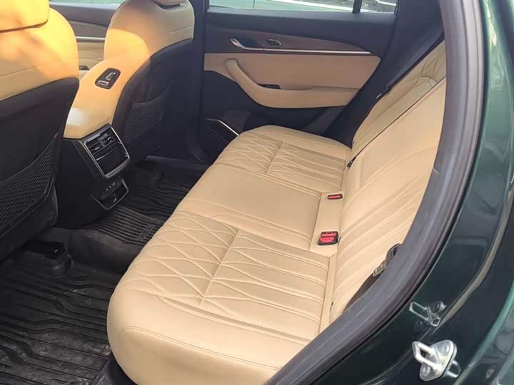 Фото 8 - Geely Monjaro