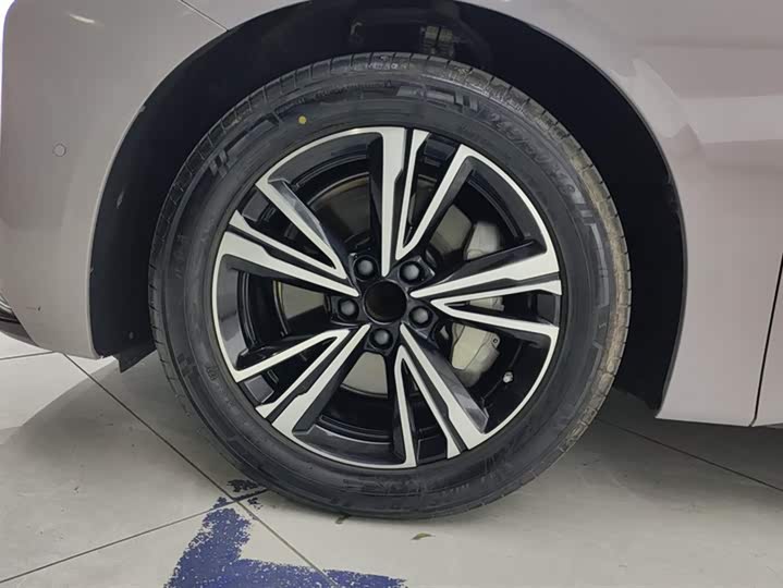 Фото 6 - Hongqi EH7