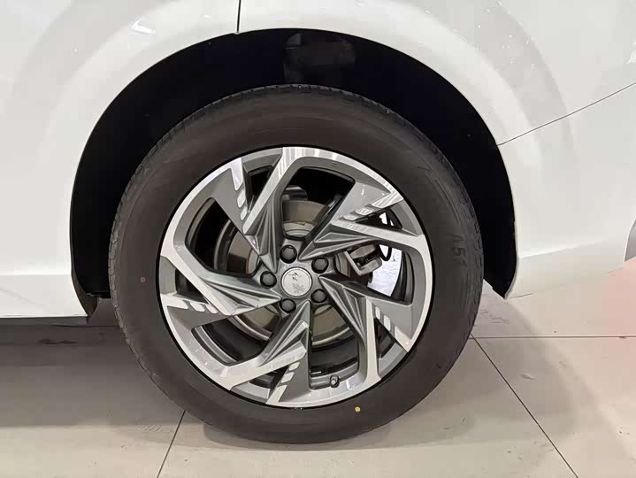 Фото 18 - Hongqi HS3