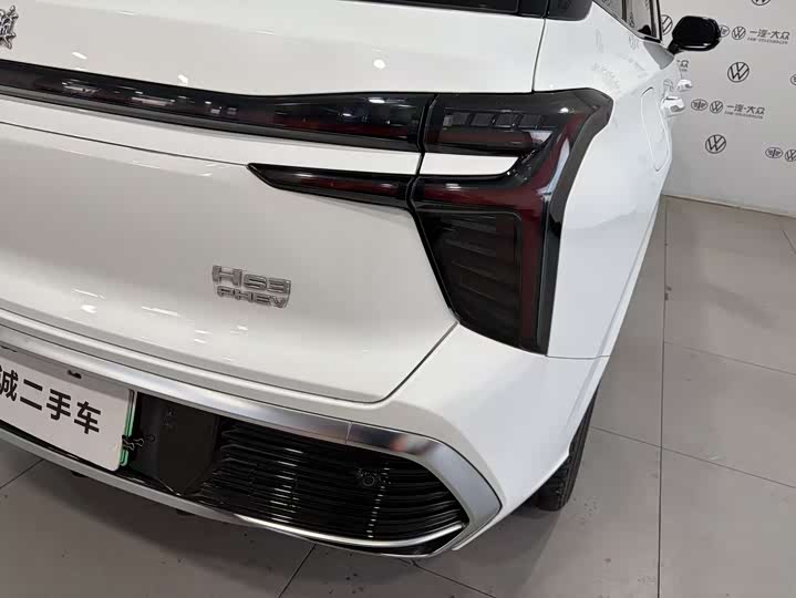 Фото 4 - Hongqi HS3