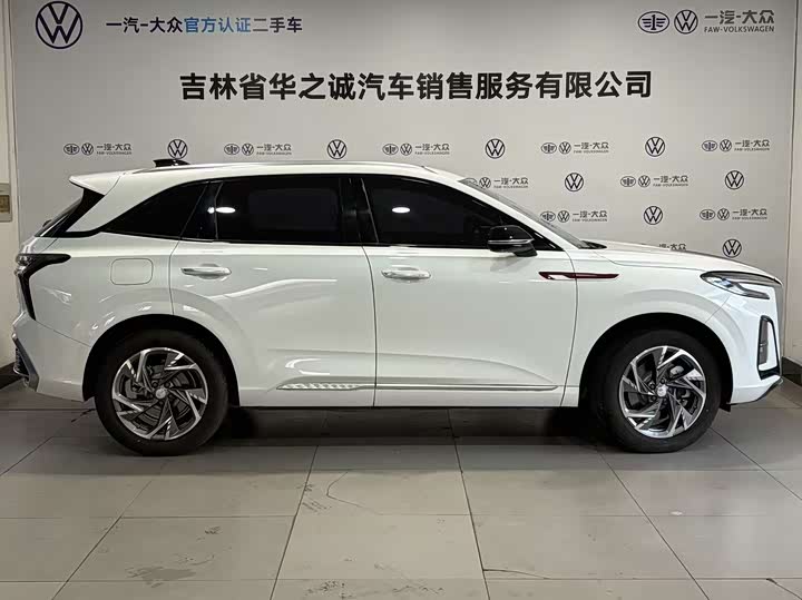 Фото 7 - Hongqi HS3