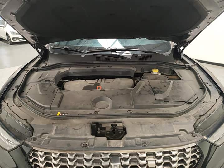 Фото 10 - Wey VV5