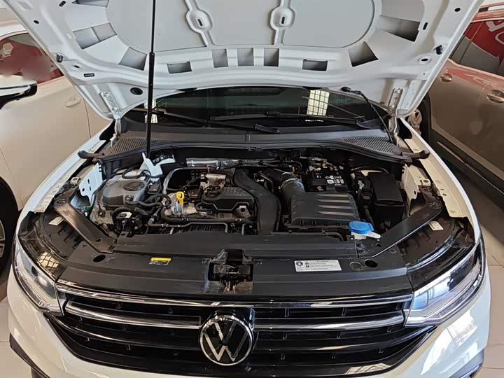 Фото 19 - Volkswagen Tiguan L Pro