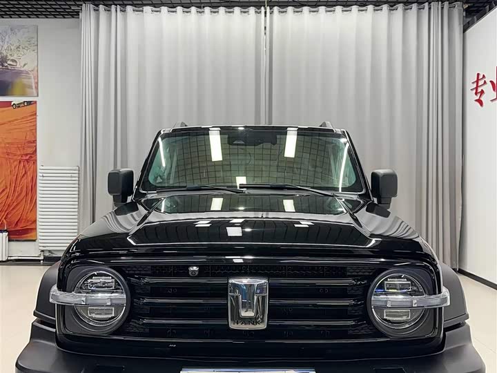 Фото 2 - Tank 300