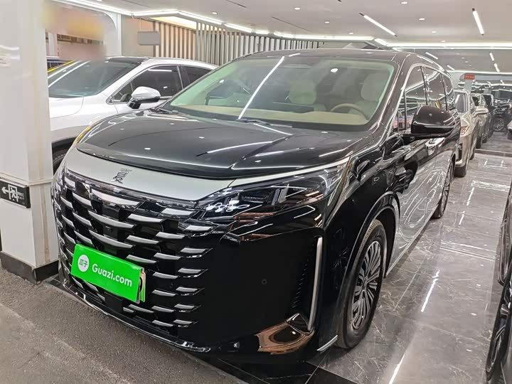 Фото 2 - BYD Xia