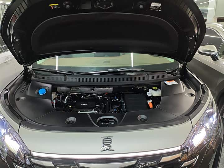 Фото 20 - BYD Xia