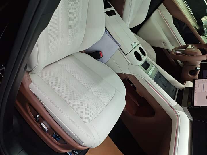 Фото 25 - BYD Xia