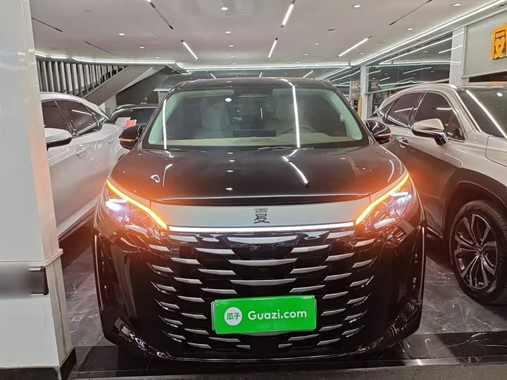 Фото 3 - BYD Xia