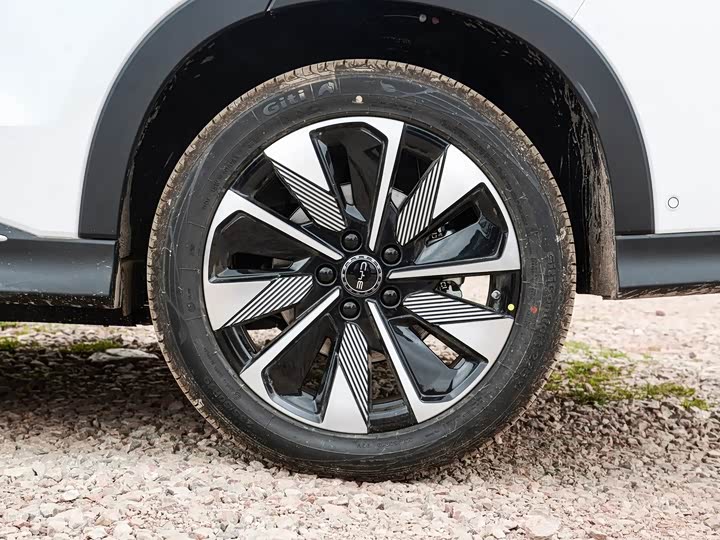 Фото 10 - BYD Song Plus Hybrid/EV