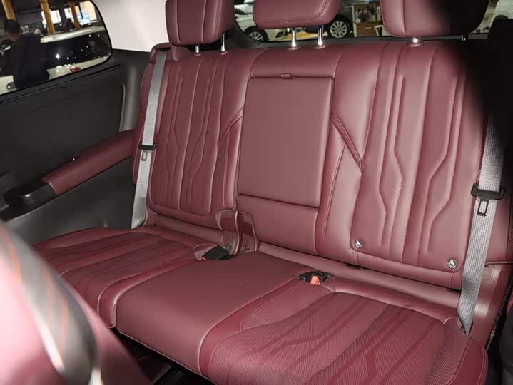 Фото 11 - Buick GL8 Century