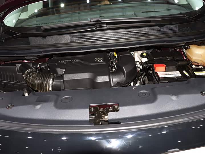 Фото 19 - Buick GL8 Century