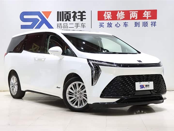 Фото 3 - Buick GL8 Century