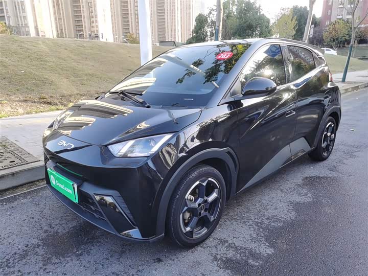 Фото 1 - BYD Seagull