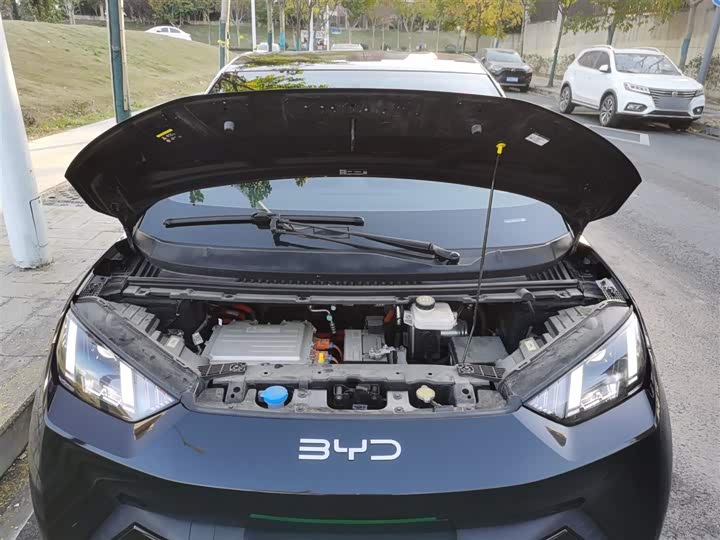 Фото 20 - BYD Seagull