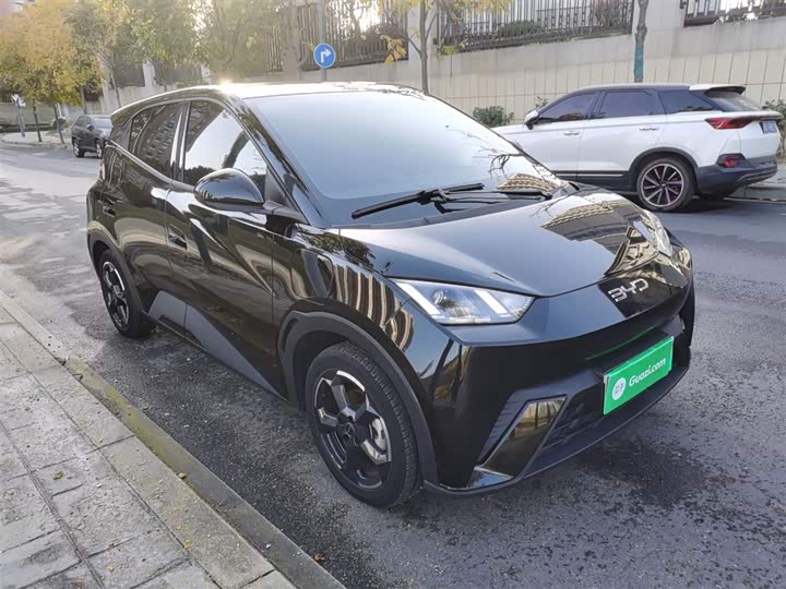 Фото 4 - BYD Seagull