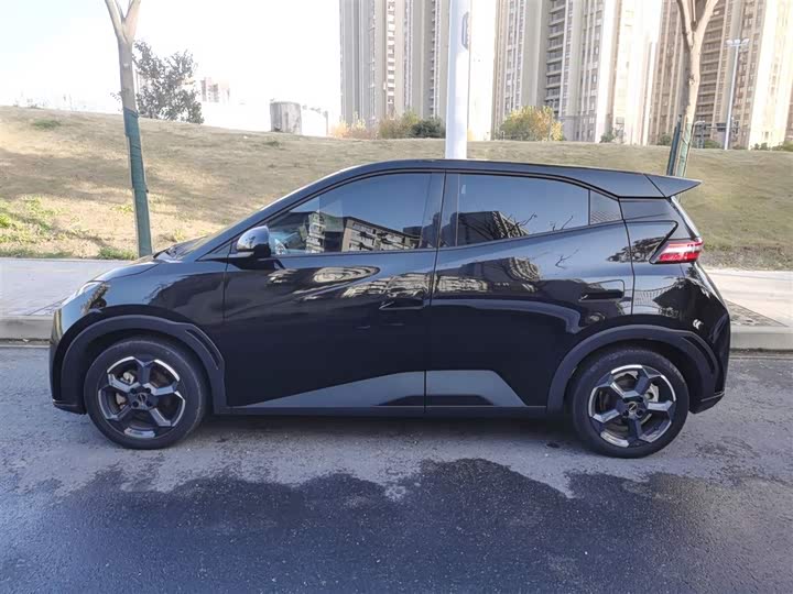 Фото 5 - BYD Seagull