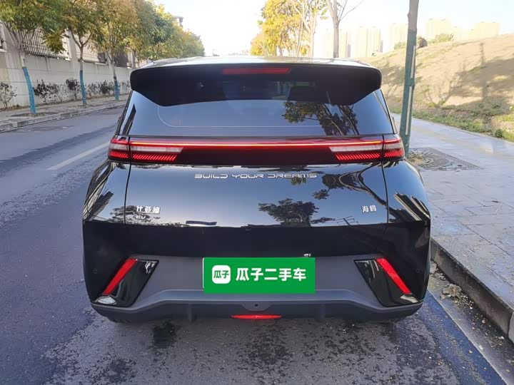 Фото 6 - BYD Seagull