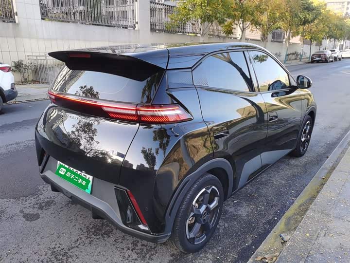 Фото 7 - BYD Seagull