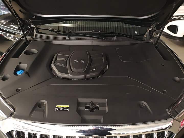 Фото 20 - Hongqi HS5