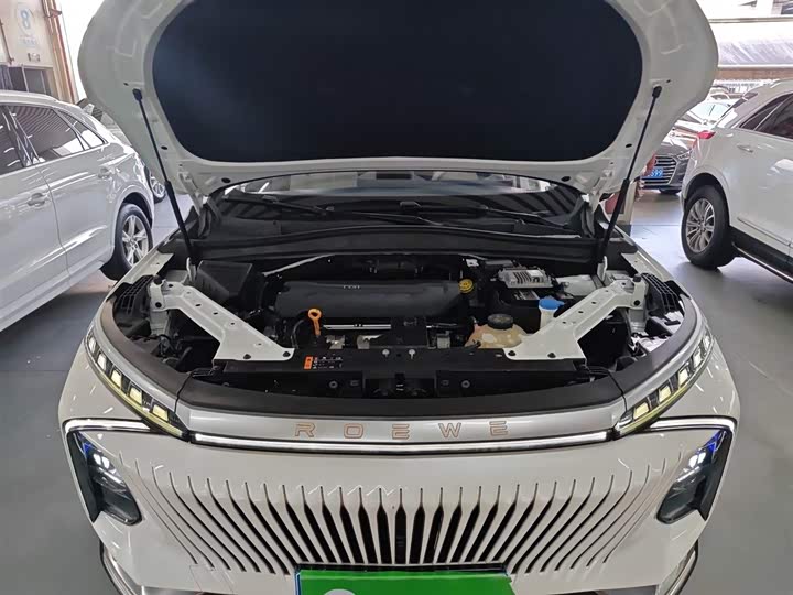Фото 20 - Roewe Whale