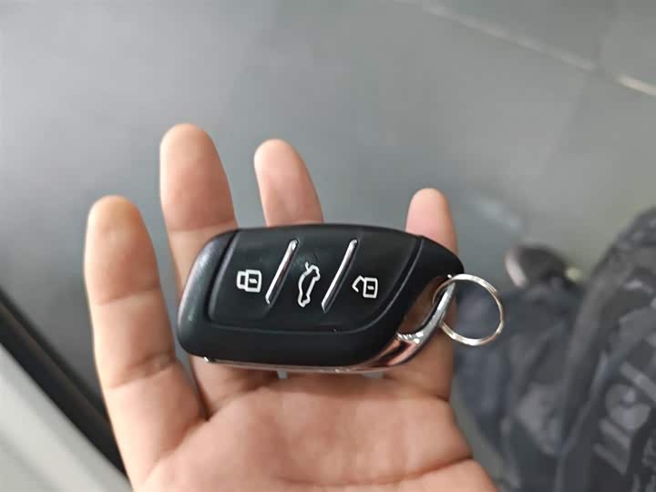 Фото 9 - Roewe Whale