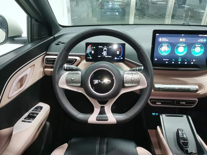 Фото 11 - BYD Seagull