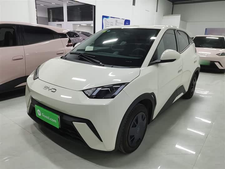 Фото 2 - BYD Seagull