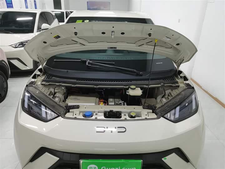 Фото 20 - BYD Seagull