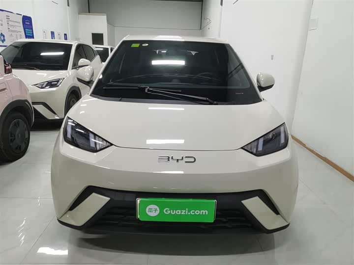 Фото 3 - BYD Seagull