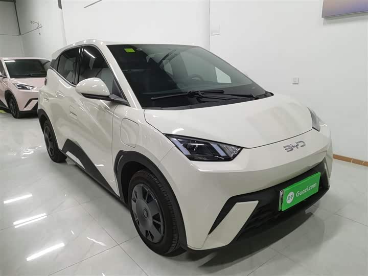 Фото 4 - BYD Seagull