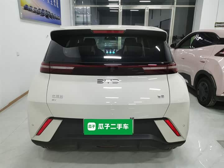 Фото 6 - BYD Seagull