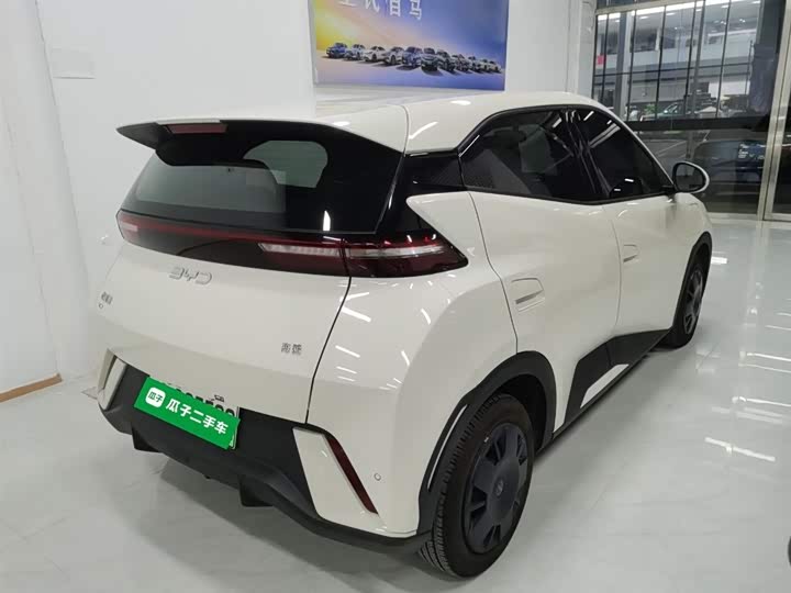 Фото 7 - BYD Seagull