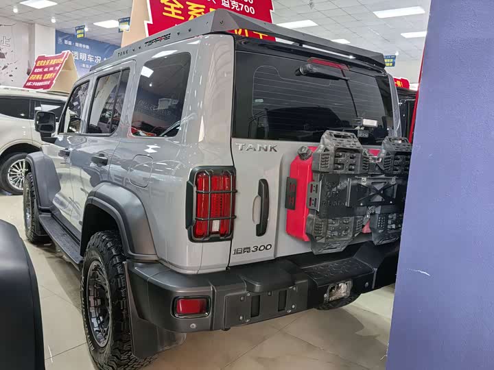 Фото 11 - Tank 300